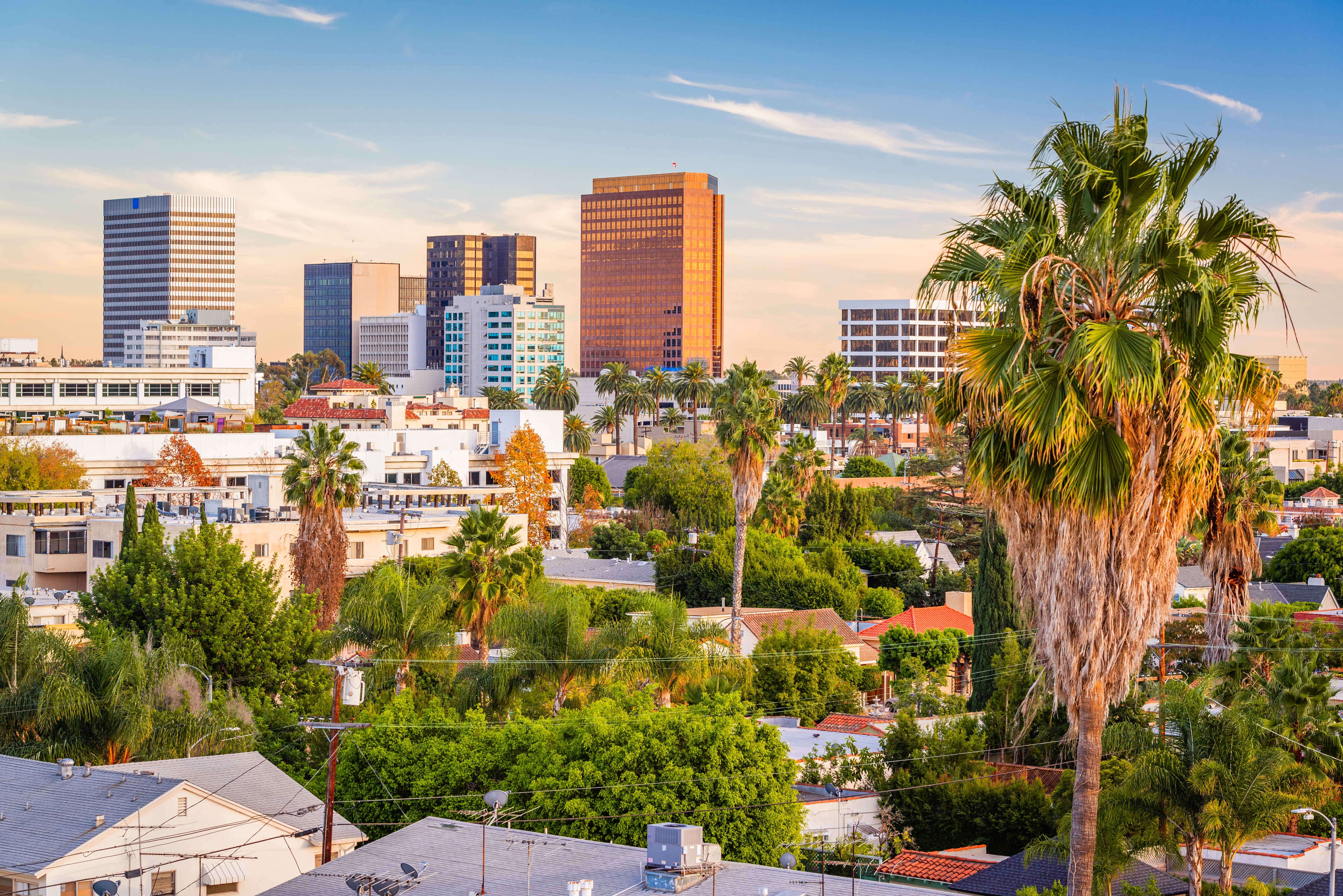 Shutterstock Beverlyhills
